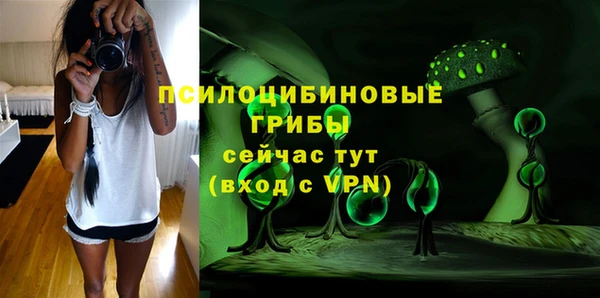 винт Алексеевка
