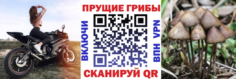 Псилоцибиновые грибы прущие грибы  Ишим 
