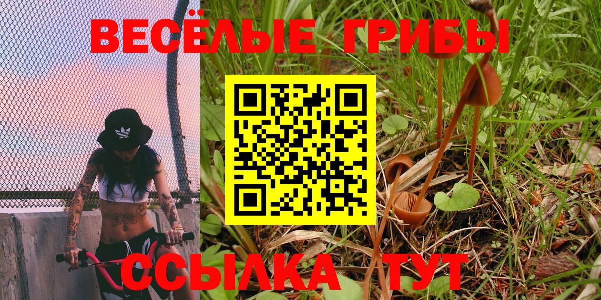 Псилоцибиновые грибы ЛСД Ишим